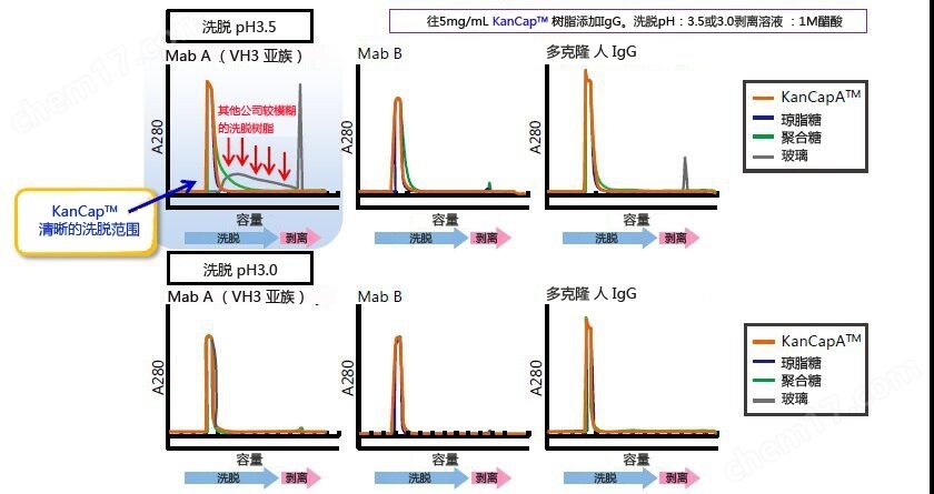 KANEKA KanCapA&trade; 抗体纯化树脂细胞培养-wako富士胶片和光