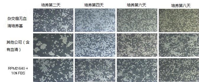 杂交瘤无血清培养基细胞培养-wako富士胶片和光