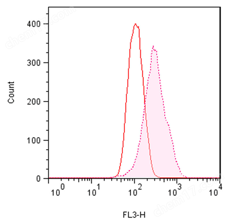ProteoStat&#174; 蛋白聚集小体检测试剂盒试剂盒-Wako富士胶片和光