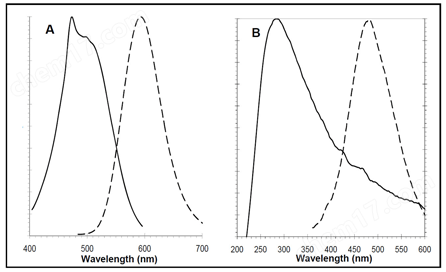 ProteoStat&#174; 蛋白聚集小体检测试剂盒试剂盒-Wako富士胶片和光