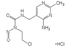 烷基化剂成分烷基化试剂-Wako富士胶片和光