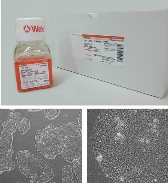Wako和光-人多能性干细胞无血清培养基细胞培养-Wako富士胶片和光