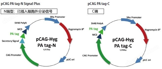 重组蛋白纯化系统Target tag/PA tag生物试剂-Wako富士胶片和光