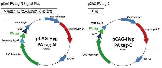 重组蛋白纯化系统Target tag/PA tag​生物试剂-Wako富士胶片和光