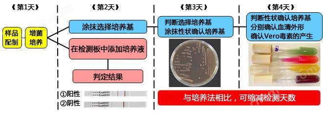 NH免疫层析系列试剂盒-Wako富士胶片和光