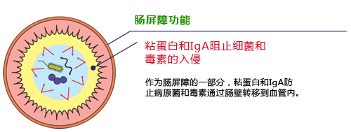 粘蛋白检测试剂盒试剂盒-Wako富士胶片和光