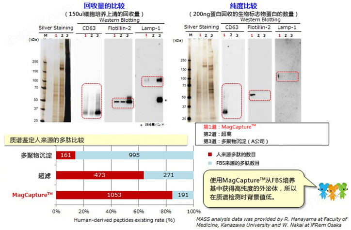 新型亲和法外泌体提取试剂盒试剂盒-Wako富士胶片和光