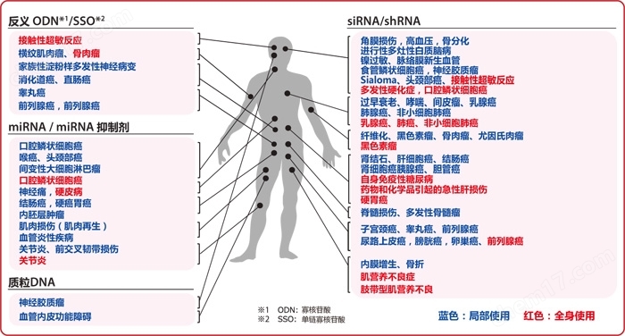 AteloGene siRNA活体转染试剂盒转染试剂-Wako富士胶片和光