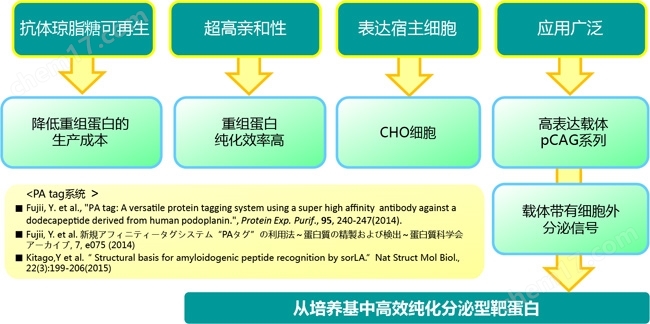 PA Tag 新型标签系统生物试剂-Wako富士胶片和光