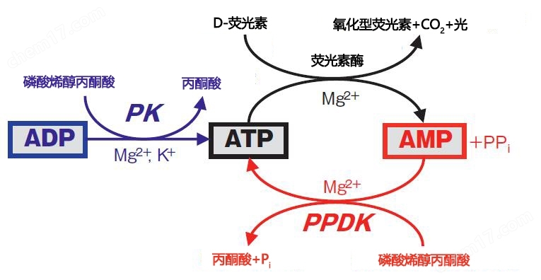 Lumitester SmartATP荧光检测仪-Wako富士胶片和光