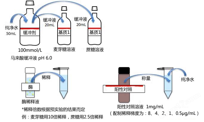 α-葡萄糖苷酶活性抑制检测试剂盒转染试剂-Wako富士胶片和光