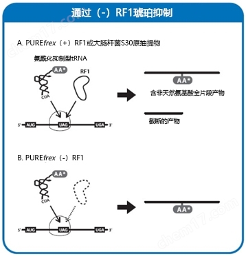 0916179349706690.jpg 水质检测分析仪器,水质检测分析仪器工作原理-Wako富士胶片和光