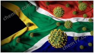 SARS-COV-2中和抗体检测试剂盒疾病研究-Wako富士胶片和光