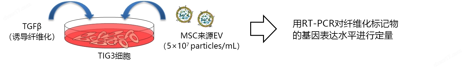 1316208781431260.jpg EV-Up™MSC专用外泌体生产用培养基细胞培养-Wako富士胶片和光