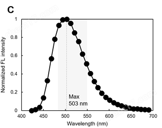 0416227936561718.png LipiDye® Ⅱ 高灵敏度脂滴成像荧光染料细胞分析-Wako富士胶片和光