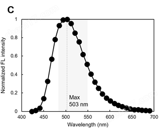 LipiDye&#174; Ⅱ 高灵敏度脂滴成像荧光染料细胞分析-Wako富士胶片和光