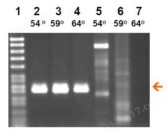 BioStab即用型稳定剂生物试剂-Wako富士胶片和光