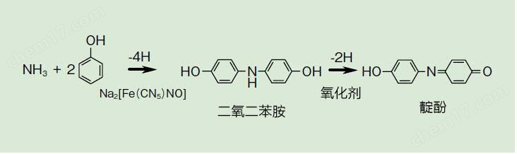 Iba1抗体免疫组化,Iba1抗体免疫组化优点-Wako富士胶片和光