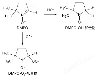 抗氧化功能评估研究用产品食品分析-Wako富士胶片和光