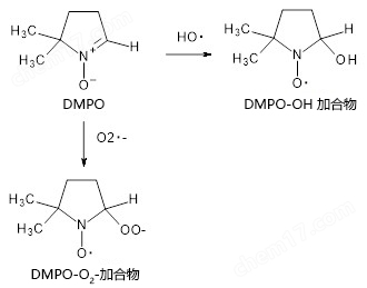 抗氧化功能评估研究用产品食品分析-Wako富士胶片和光