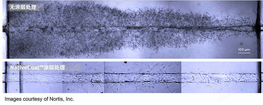 yly NativeCoat&trade; ECM（2D）细胞培养-Wako富士胶片和光