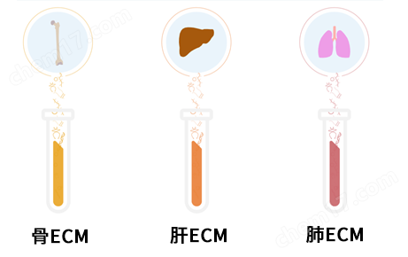 IN SITE&trade; Metastasis Kit细胞培养-Wako富士胶片和光