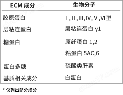 yly TissueSpec&trade; ECM水凝胶（3D）细胞培养-Wako富士胶片和光