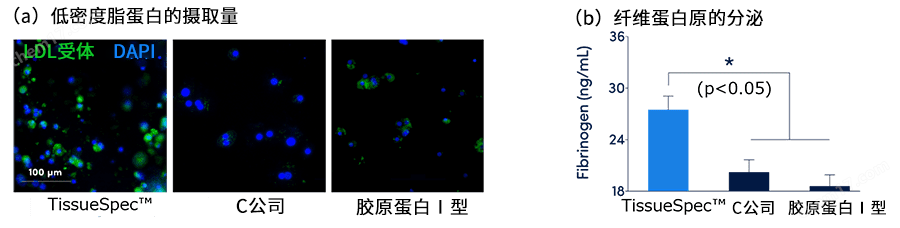 yly TissueSpec&trade; ECM水凝胶（3D）细胞培养-Wako富士胶片和光