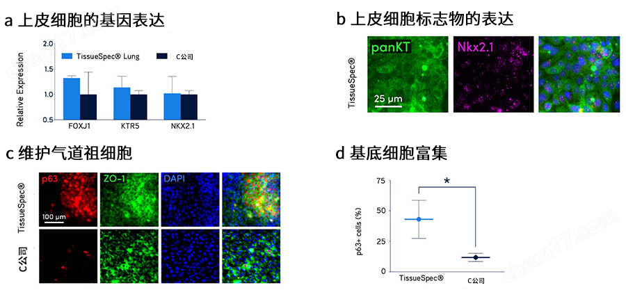 yly TissueSpec&trade; ECM水凝胶（3D）细胞培养-Wako富士胶片和光