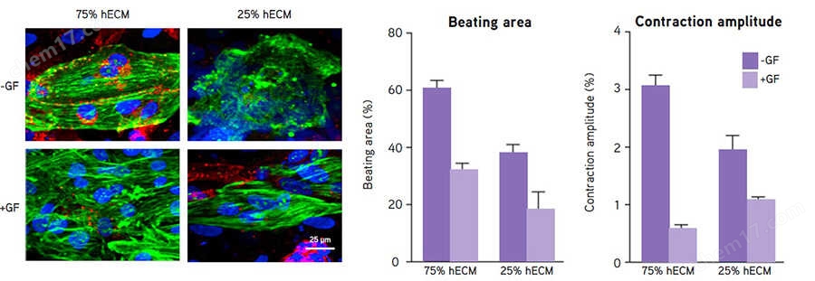 yly TissueSpec&trade; ECM水凝胶（3D）细胞培养-Wako富士胶片和光