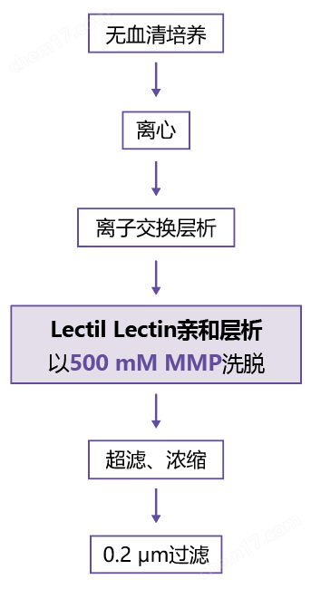 甲基α-D-吡喃甘露糖苷/MMP蛋白研究-Wako富士胶片和光