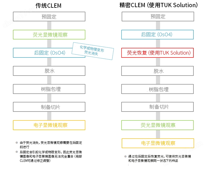 CLEM用荧光恢复试剂生物试剂-Wako富士胶片和光