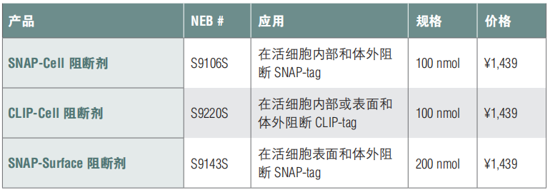 SNAP-Surface 阻断剂                               #S9143S 200 nmol