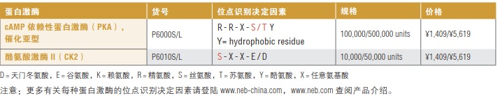 cAMP 依赖性蛋白激酶(PKA),催化亚型 #P6000L 500,000 units.