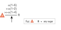 α1-2,4,6 Fucosidase O                                    #P0749L 400 units