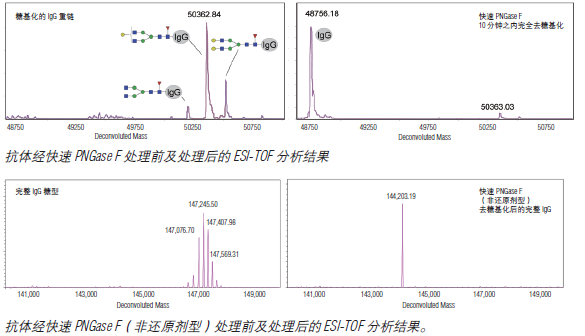 快速 PNGase F                                   #P0710S 50 次反应
