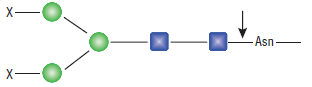 Remove-iT PNGase F                                 #P0706L 33,750 units