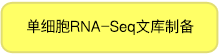 单细胞mRNA全长分析SMART-Seq HT Kit & SMART-Seq HT PLUS Kit