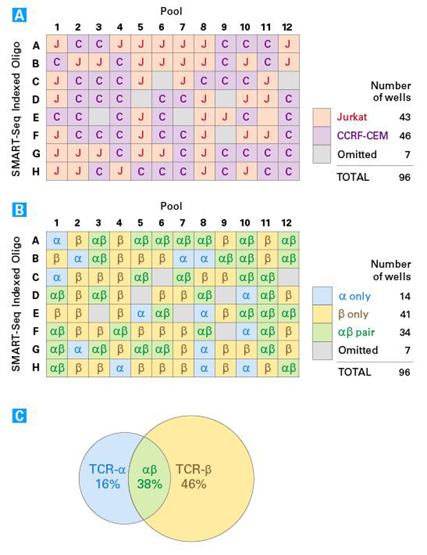 人单细胞TCR profiling分析SMARTer Human scTCR a/b Profiling Kit