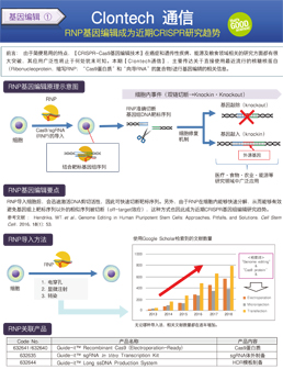 重组Cas9蛋白质 (3 μg/μl)