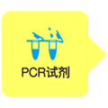 预混型高保真聚合酶PrimeSTAR&reg; GXL Premix Fast
