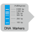 长链PCR酶TaKaRa Ex Premier&trade; DNA Polymerase