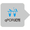 小鼠qPCR引物对Transgene Detection Primer Set for Real Time (Mouse)