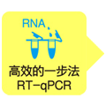 一步法RT-PCR试剂盒One Step PrimeScript&trade; RT-PCR Kit (Perfect Real Time)