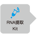 双标记荧光探针法检测试剂Premix Ex Taq&trade; (Probe qPCR), ROX plus