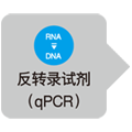 qPCR探针法大包装检测试剂Premix Ex Taq&trade; (Probe qPCR), Bulk