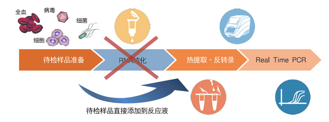 探针法预混型RT-qPCR试剂PrimeDirect® Probe RT-qPCR Mix (or with UNG)