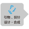 抑制引物二聚体的染料法定量试剂TB Green&reg; Premix DimerEraser&trade; (Perfect Real Time)