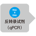 抑制引物二聚体的染料法定量试剂TB Green&reg; Premix DimerEraser&trade; (Perfect Real Time)