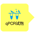 抑制引物二聚体的染料法定量试剂TB Green&reg; Premix DimerEraser&trade; (Perfect Real Time)